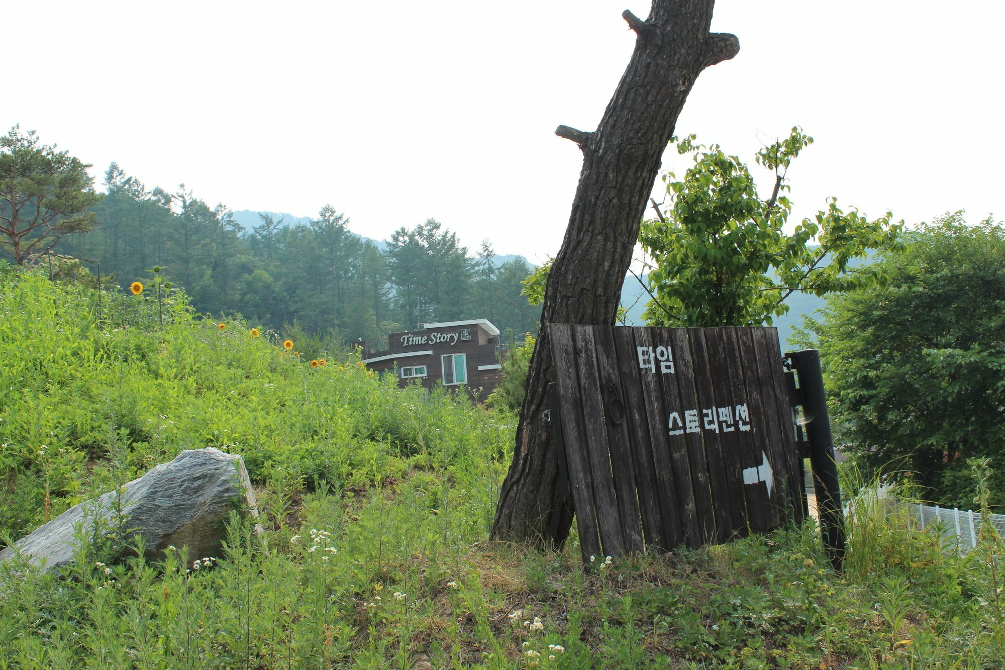 Time Story Villa Yangpyeong Exteriör bild
